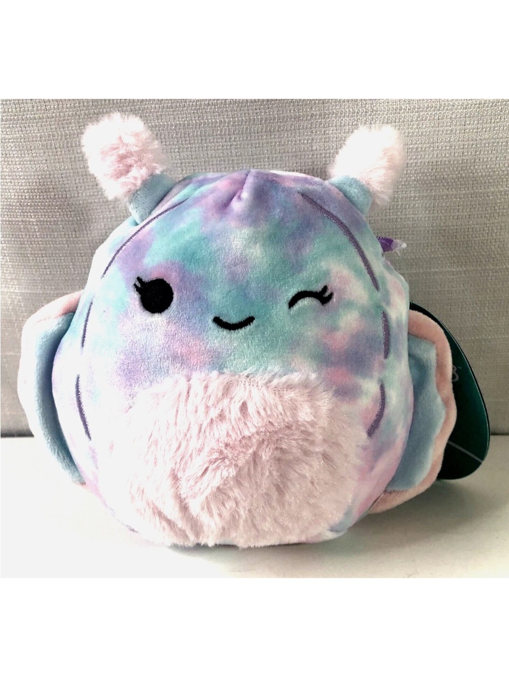 Squishmallows 5" Dottie Sea Slug Fuzzy Belly New KellyToy Plush Stuffed Toy NWT